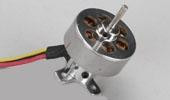 Tiger Moth Brushless Motor